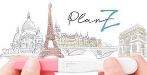 Plan Z Cover